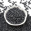 6/0 Glass Seed Beads X1-SEED-L011-08A-10-2