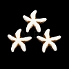 Ocean Theme Spray Painted Opaque Acrylic Beads ACRP-F003-02H-1