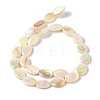 Natural Freshwater Shell Beads Strands BSHE-H018-06-2