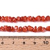 Natural Freshwater Shell Beads Strands SHEL-N037-04D-4