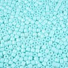 Opaque Baking Paint Glass Seed Beads SEED-T008-02N-3