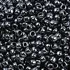 TOHO 6/0 Round Beads X-SEED-TR06-0081-3