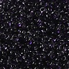Transparent Colours Glass Seed Beads SEED-P006-02A-12-3