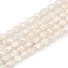 Natural Cultured Freshwater Pearl Beads Strands PEAR-P064-20F-01A-2