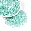 Drawbench Style Glass Seed Beads SEED-N008-10H-1