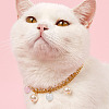 360Pcs 12 Colros Round Imitation Cat Eye Resin Beads OACR-TA0001-12-21