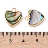 Natural Paua Shell Heart Charms with Brass Edge SHEL-P017-19G-3