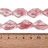 Handmade Lampwork Beads Strands LA-N046-02I-4