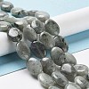 Natural Labradorite Beads Strands G-L164-A-34-2