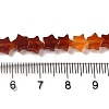 Natural Carnelian Beads Strands G-G085-B35-02-4