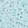 Frosted Glass Seed Beads SEED-N012-01C-3
