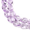 Transparent Glass Beads Strands GLAA-H038-03D-3