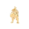 Brass Pendants KK-CBA855A-01G-03-3