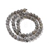 Natural Labradorite Bead Strands G-P259-03-6mm-5