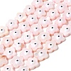 Dyed Natural Freshwater Shell Beads Strands SHEL-A006-03C-1