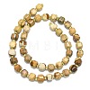 Natural Picture Jasper Beads Strand G-I376-D78-01-2