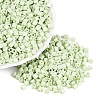 FGB Baking Paint Glass Seed Beads SEED-Q040-09A-10-1