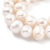 Natural Cultured Freshwater Pearl Beads Strands PEAR-C003-15D-4