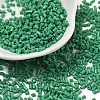 Two Cut Glass Seed Beads CSDB47-1