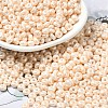 Baking Paint Luster Glass Seed Beads X-SEED-B001-04A-02-1