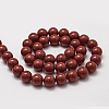 Shell Pearl Beads Strands LS-BSHE-L026-01-12mm-2