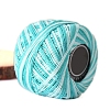 Section Dyed Cotton Knitting Yarn PW-WG4AE3B-12-1