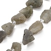 Natural Labradorite Beads Strands GG-CBA0B77-A20-03-2