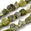 Raw Rough Natural Serpentine Beads Strands G-Z087-B14-2