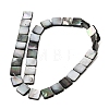 Natural Black Lip Shell Beads Strands SHEL-A006-09B-2