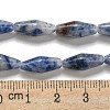 Natural Blue Spot Beads Strands G-A223-A06-01-5