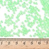 8/0 Glass Seed Beads X1-SEED-A011-3mm-144-4