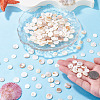 1 Strand 2 Styles Natural Freshwater Shell Beads Strands SHEL-TA0001-43-7