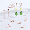 304 Stainless Steel Leverback Earring Findings STAS-UN0001-67RG-3