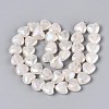 Electroplate Natural Quartz Crystal Beads Strands G-T144-40-2