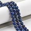 Natural Lapis Lazuli Beads Strands G-P348-01-8mm-2