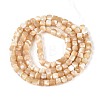 Natural Trochid Shell/Trochus Shell Beads Strands BSHE-T014-52B-01-2