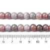 Ombre Effect Dyed Glass Beads Strands X-GLAA-T031-01O-14-5