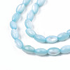 Natural Freshwater Shell Beads Strands SHEL-N003-25-B02-3