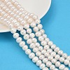 Natural Cultured Freshwater Pearl Beads Strands PEAR-I007-07Z-07C-1