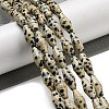 Natural Dalmatian Jasper Beads Strands G-A223-A08-01-2