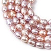 Natural Cultured Freshwater Pearl Beads Strands PEAR-F020-01A-4