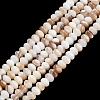 Natural Freshwater Shell Beads Strands SHEL-C010-04B-01-1