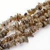 Natural Labradorite Chips Beads Strands LS-F069-2