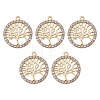 Alloy Crystal Rhinestone Pendants FIND-YW0003-63-1