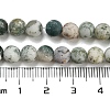Natural Tree Agate Frosted Agate Round Gemstone Beads Strands G-O151-01-6mm-3