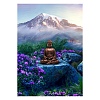 Buddha DIY Diamond Painting Kits PW-WG2D431-03-1