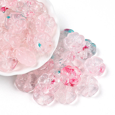 Transparent Acrylic Beads TACR-T028-40C-1