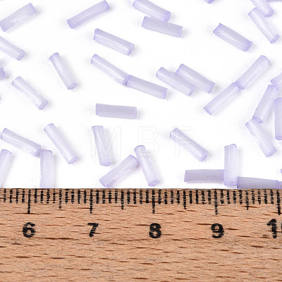 Glass Bugle Beads SEED-N007-28D-1