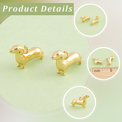 12Pcs Brass Charms KK-BBC0028-31-1