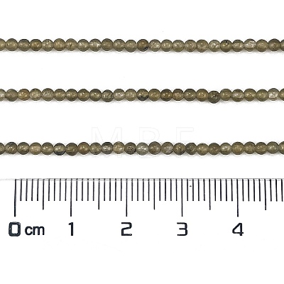 Natural Labradorite Beads Strands G-M438-A01-02-1
